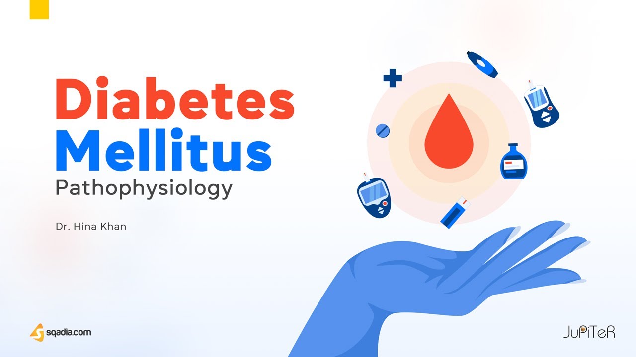 Diabetes Mellitus Pathophysiology | Endocrinology Lecture | V-Learning™