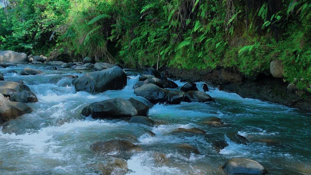 ASMR Sunny River Ambience – Natural Water Flow for Stress Relief
