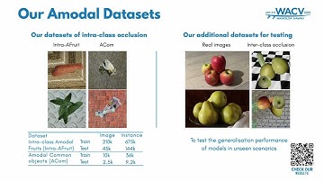 Amodal Intra-Class Instance Segmentation: Synthetic Datasets and Benchmark