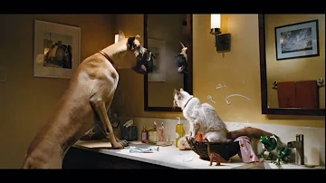 Chi ha doppiato il cane Sansone?