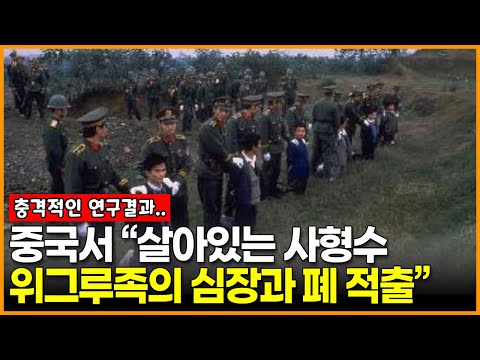 “아직 살아있는데 심장과 폐를 적출…” 충격적인 중국의 장기이식 수술