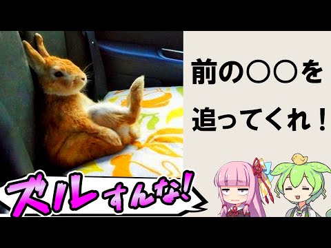 殿堂入りボケてがツッコミどころ満載すぎる件 #55 【ずんだもん、琴葉茜】
