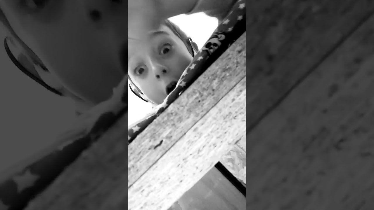 FA IST EIN MONSTER UNTER BETT