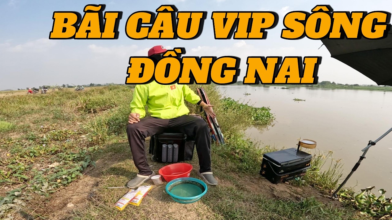 BÃI CÂU VIP SÔNG ĐỒNG NAI CÙNG MỒI CÂU CHÉP VIỆT VỊ THƠM