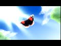 Beginning of video