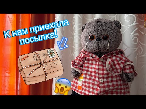 День с Басиками- учимся + распаковка ОДЕЖДЫ!