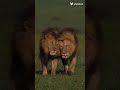 edit de mis hermanos