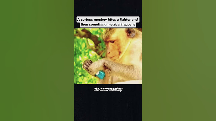 Curious Monkey Bites Lighter, Sparks Magic! #fyp #foryou #foryourpage
