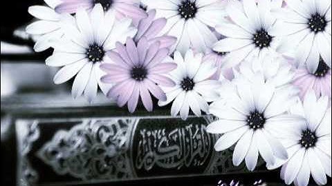 سورة الشورى بصوت الشيخ ماهر المعيقلي (ash-shura)
