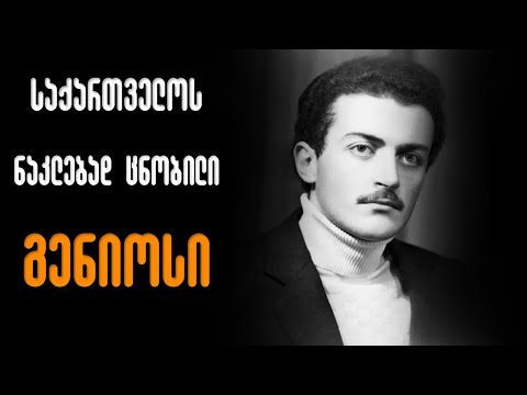 დიდი გენიოსები: აპოლონ ჯინჭარაძე (ეპიზოდი 2)