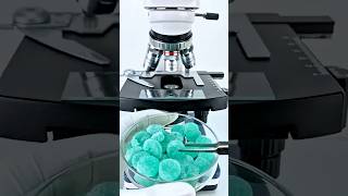 Gummy candy under a microscope 🔬#shorts #viral #trending #candy #microscope