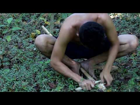 Primitive Technology:Spear Thrower