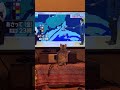 Zen’s New Job: Weather Forecaster? ☀️🌧️ #egyptianmau #kitten #WeatherForecaster #funnycats