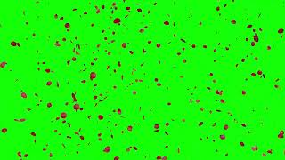 Rose Petals Falling free to use green screen video 1