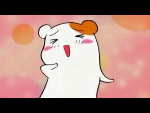 [everysing] 넌 나 어때