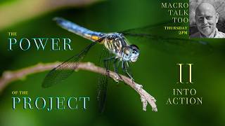 The Power of the Project II - Macro Talk Too #189 -  AWPhotography 4/23/26