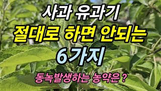 사과 유과기에 절대 하면 안 되는 6가지! 살포하면 안 되는 농약은? 동녹발생