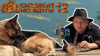 ПЁС смешные моменты 12