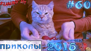 Отборные приколы (#60) 23.02.2015 / Funny Best Jokes