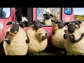Shaun The Sheep S04E01 - Cones