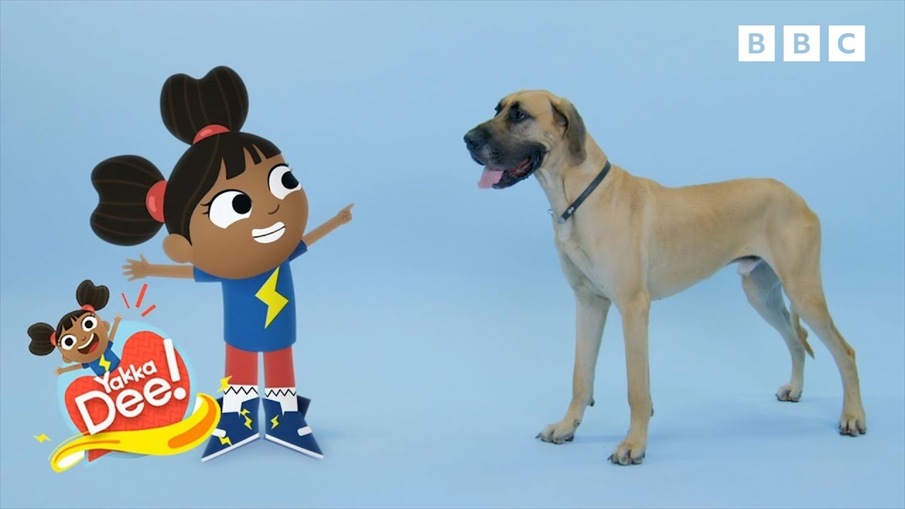Can You Say Dog? 🐶| Yakka Dee!