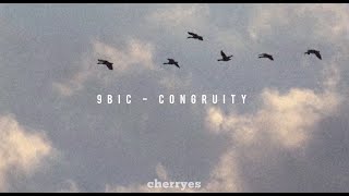 9bic - Congruity. (Traducción al español).
