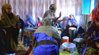 Niko Wali Ah Aroos Jareereed Fadhi Iyo Istaag Aa Lagu Ruxooyaa Iskaabulo