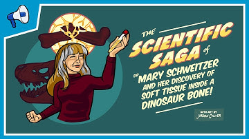 Soft Tissue Found Inside a Dinosaur Bone!