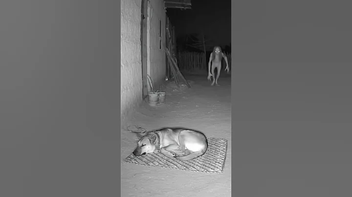 #shortsfeed #shorts #trending #trending #viral