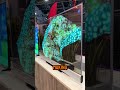 The best TV nobody’s buying 🤔