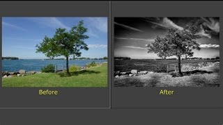 Processing a Photo With Nik Silver Efex Pro 2 & Lightroom (Training Tutorial)