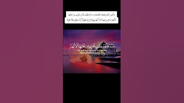 تلاوة القران الكريم سورة النساء للقارئ سعد الغامدي #القرآن_الكريم #fy
