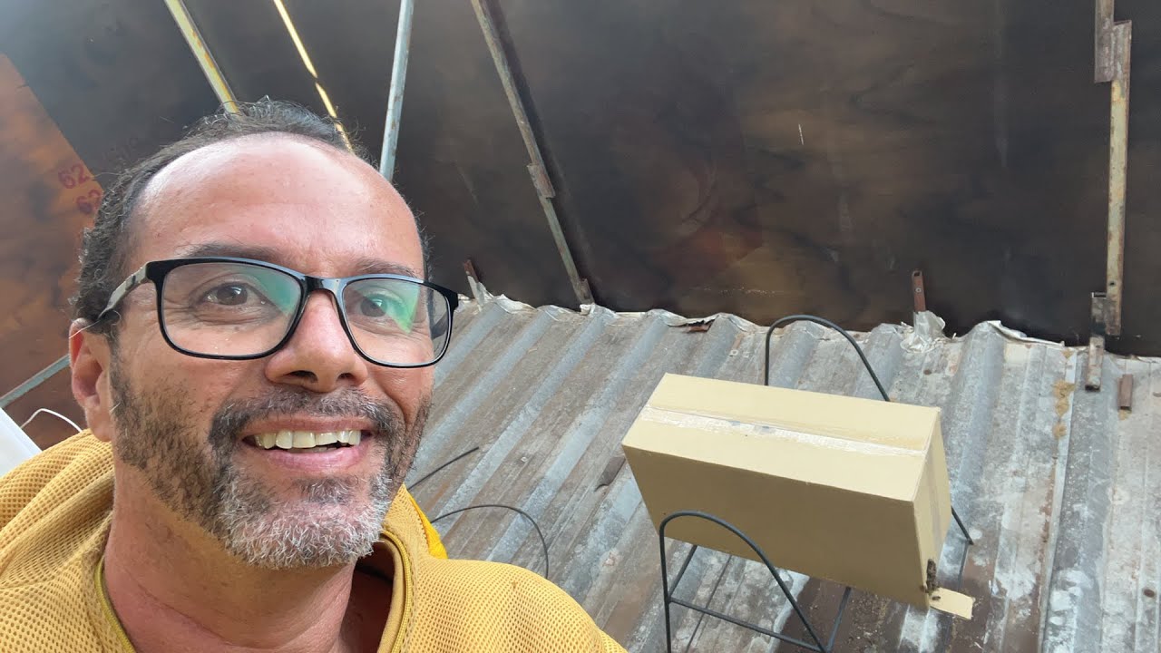 TRANSFERÊNCIA DE CAIXA ISCA PARA NINHO NA CIA DA ABELHA DE ENXAME CAPTURADO