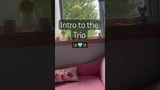 ✨Into to the trio~✨ #fyp #bestiess #intro #straykids #maddoxbatson #mitski
