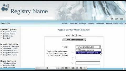 Making Domain Name Server (DNS) changes at DRAMS