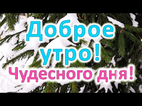 Доброе утро. Пускай исполнится твоя мечта, и может даже, не одна!