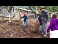 Onions and fruit trees.  Planting family style