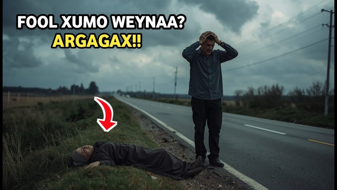 DILAAGU QOFKAAD MOODAYSO MAAHAN? QISO CAJIIB AH.