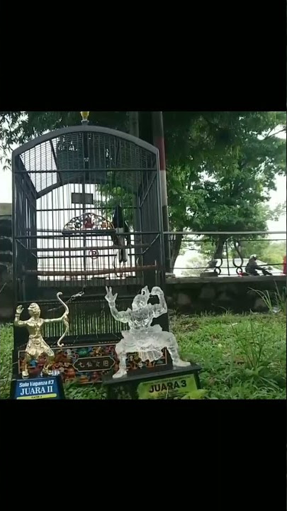 Kacer PELOR MAS, kembali juara di kelas solo vaganza