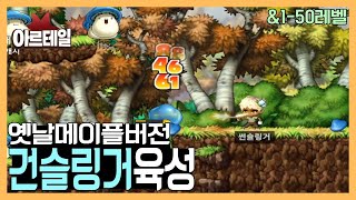 아르테일 | 옛날 메이플 건슬링거 육성기 1-50레벨 &사냥터/스킬트리/스텟/득템정리까지