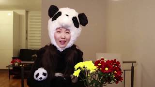 ATTENTION! 30+ EUROPEAN COUNTRIES & Places in 3 MINs, Miss Panda turned while travelling | Vlog 01 screenshot 2