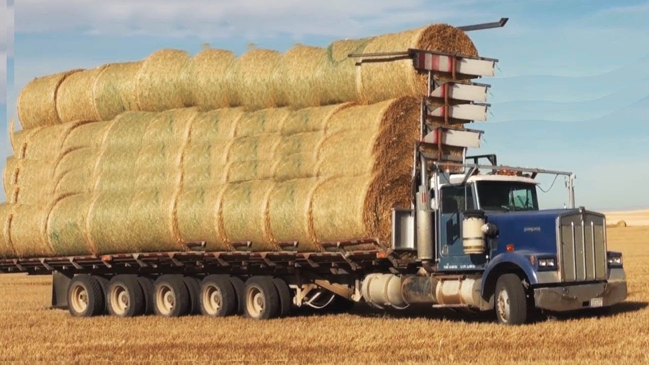 World Amazing Modern Hay Bale Handling Agriculture Equipment Mega Machines Tractor Harvester Truck Youtube