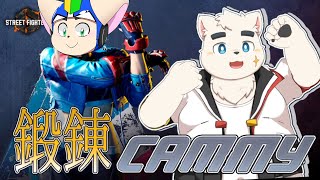 成り行きで久真さんがうちに来たのでスト６の稽古つけます