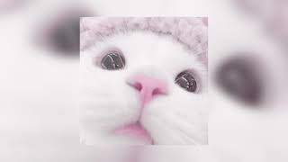 Lil Nas X Ft. Jack Harlow - Industry Baby Speed Up