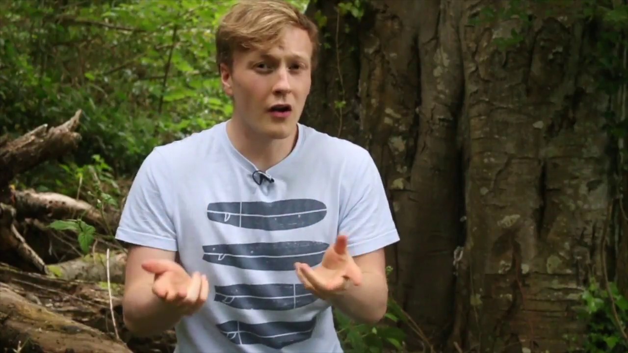 What are the chances? | 