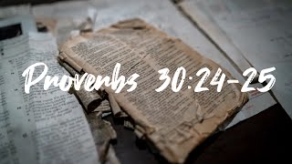 Proverbs 30:24-25