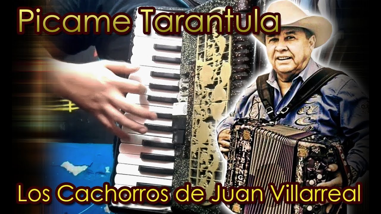 Picame Tarántula - Los Cachorros de Juan Villarreal - Acordeón de teclas (Instruccional)