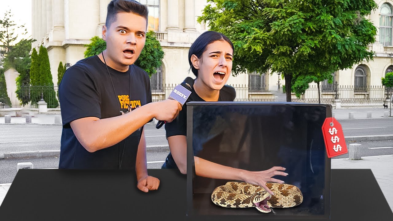 GHICESTE CE E IN CUTIE SI CASTIGI BANI