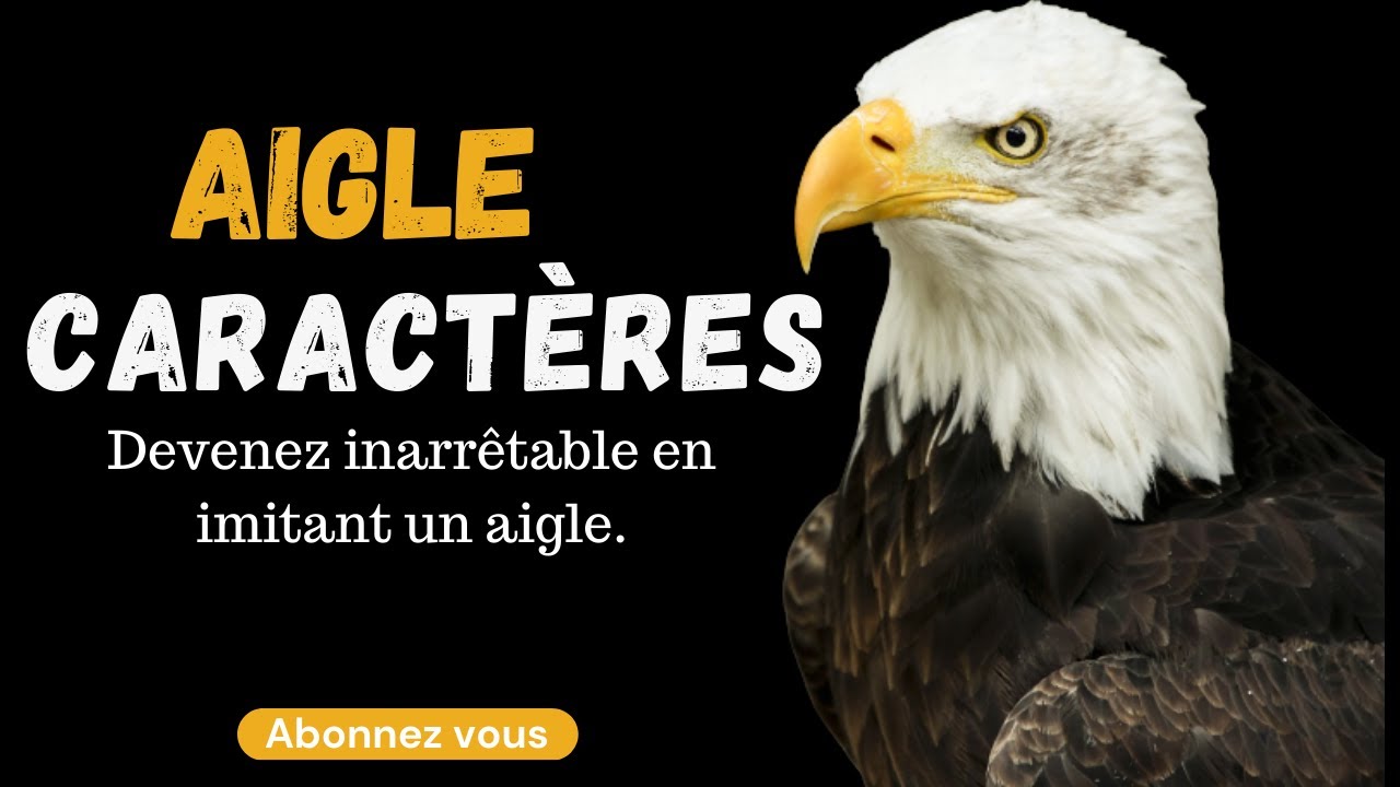 Top 4 caractère des aigles : La mentalité à imiter