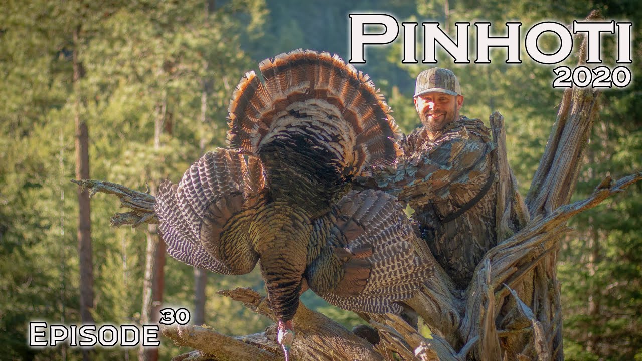 GRAND SLAM COMPLETE | NEW MEXICO MERRIAM'S | TURKEY HUNTING the WEST- Pinhoti 2020